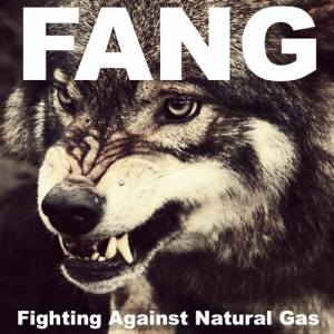 1507615_205546302976696_1618522776_n