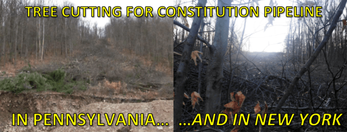 639DA03E-DC4D-4CFD-B558-8982BE9A207F