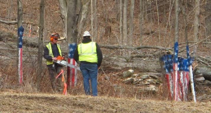 angela vogel flag trees