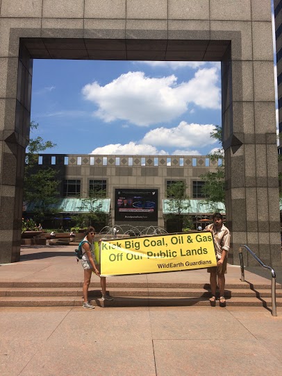 WildEarth Guardians Public Lands